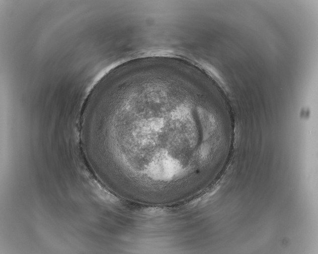 X0000091481212200709061832