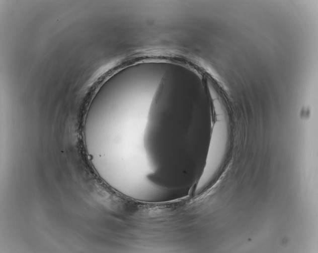 X0000091481213200709061832