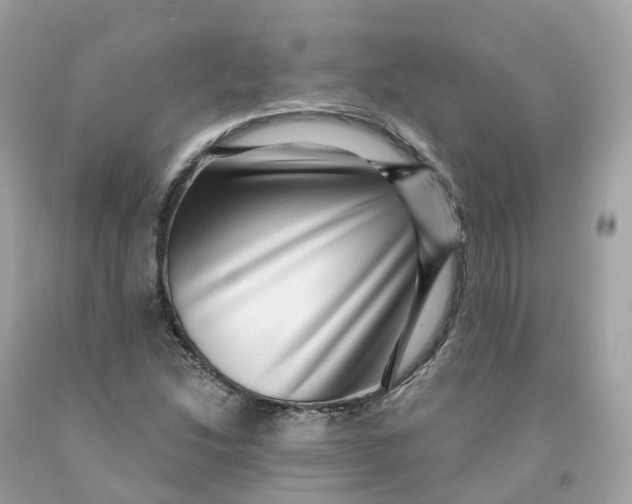 X0000091481214200709061832