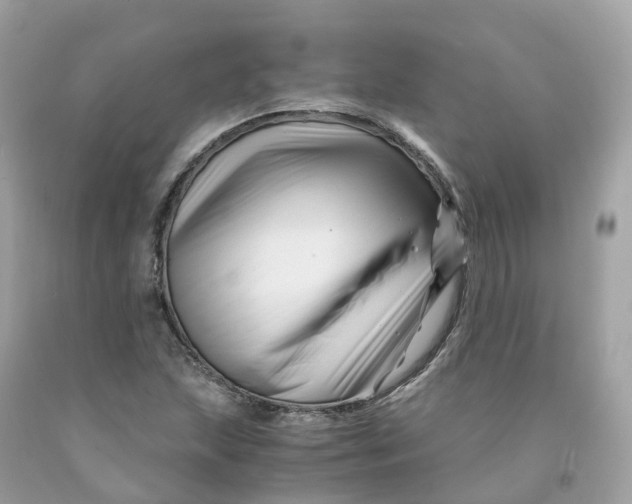 X0000091481215200709061832