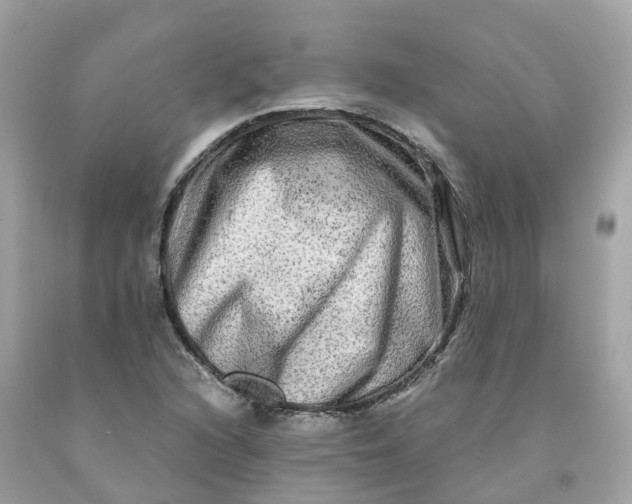 X0000091481216200709061832