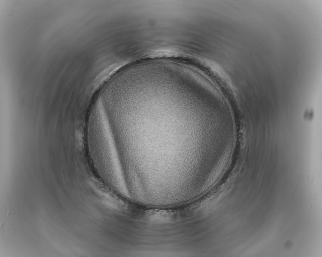 X0000091481217200709061832