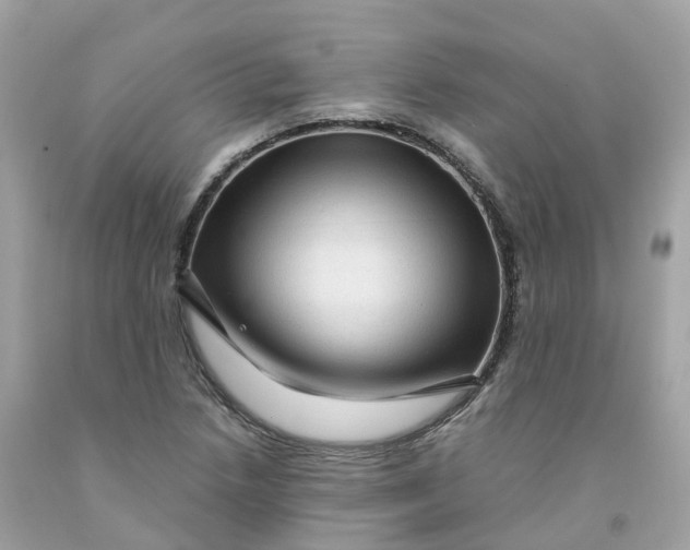 X0000091481218200709061832