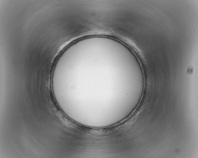 X0000091481220200709061832