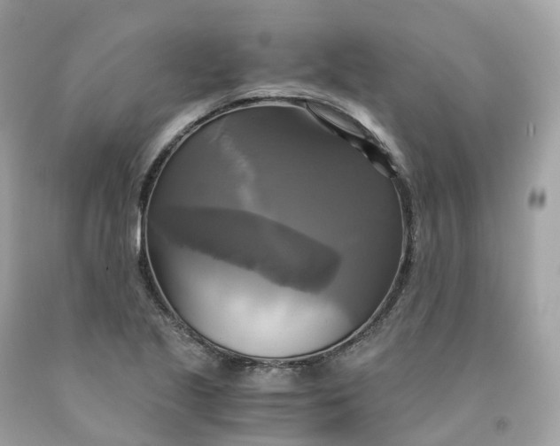 X0000091481221200709061832