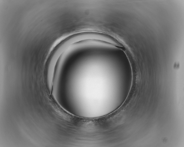 X0000091481222200709061832