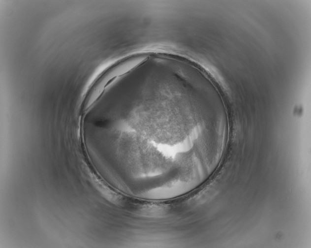 X0000091481224200709061832