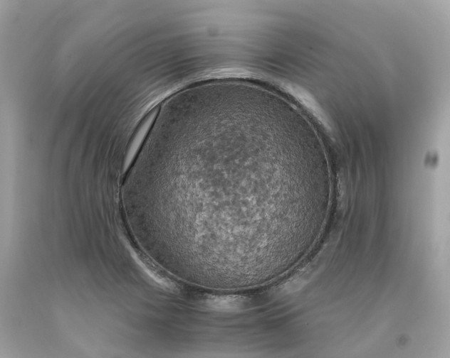 X0000091481225200709061832