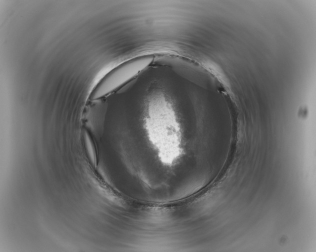 X0000091481226200709061832