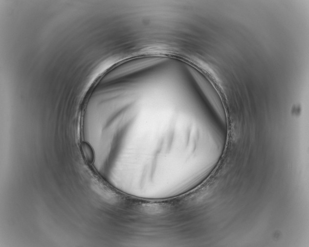 X0000091481227200709061832