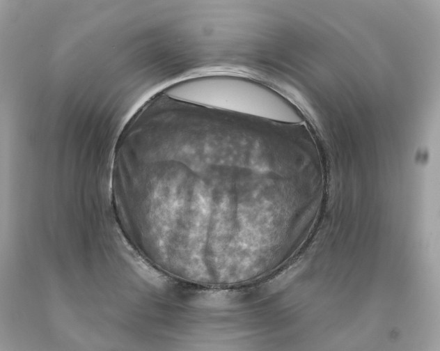 X0000091481228200709061832