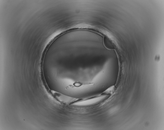 X0000091481229200709061832