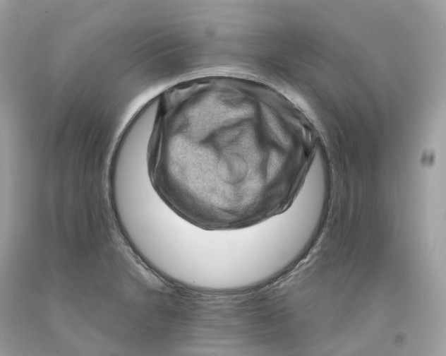 X0000091481230200709061832