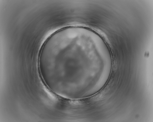 X0000091481231200709061832