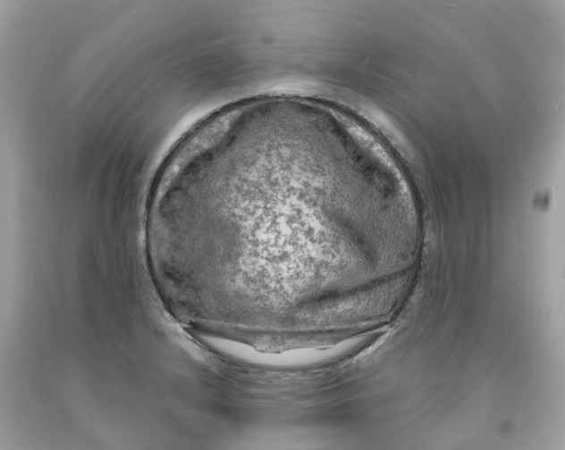 X0000091481232200709061832