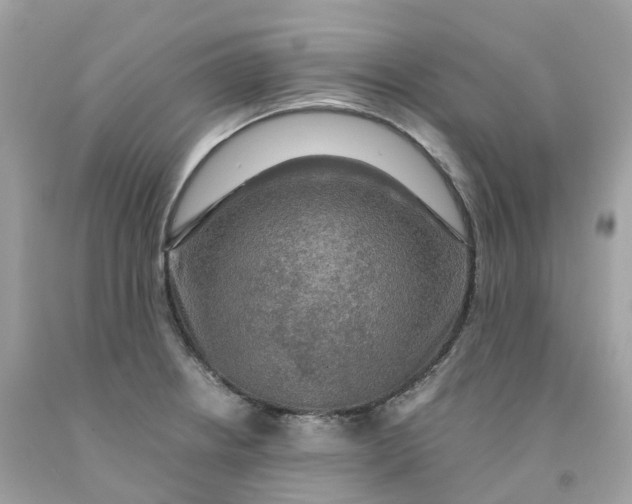 X0000091481234200709061832