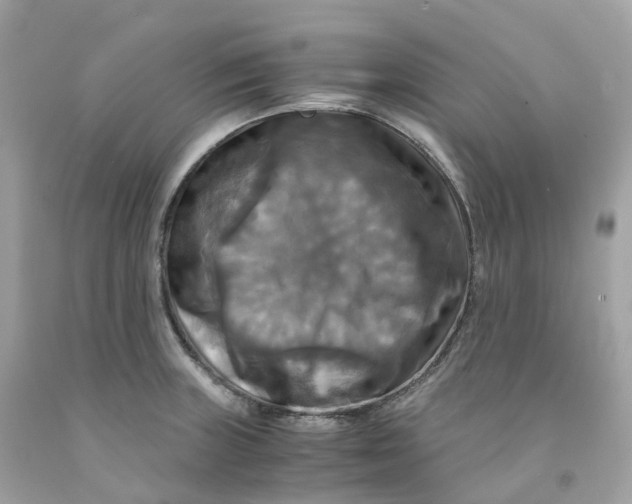 X0000091481235200709061832