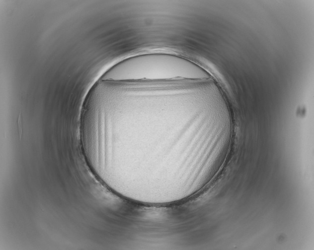 X0000091481236200709061832