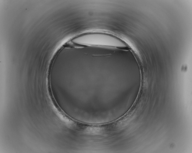 X0000091481237200709061832