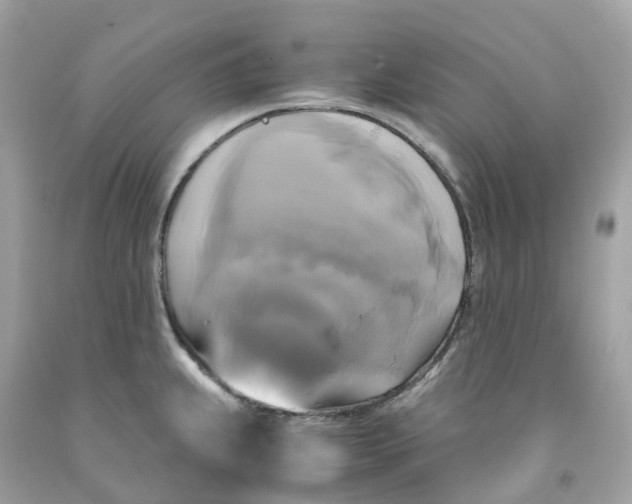 X0000091481239200709061832