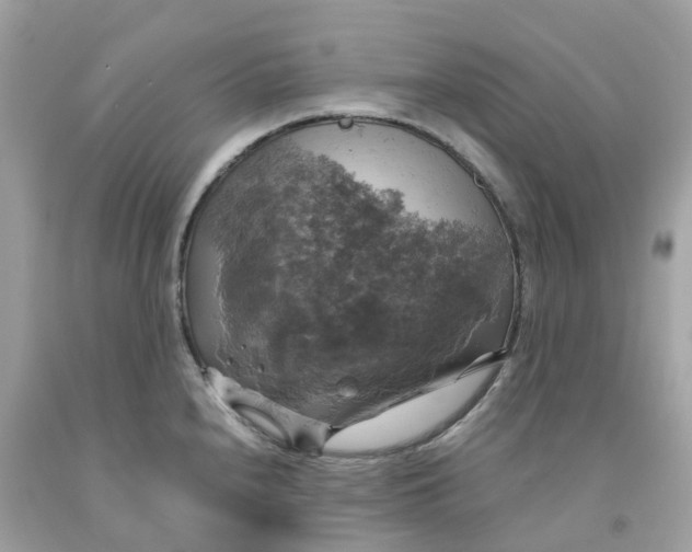 X0000091481240200709061832