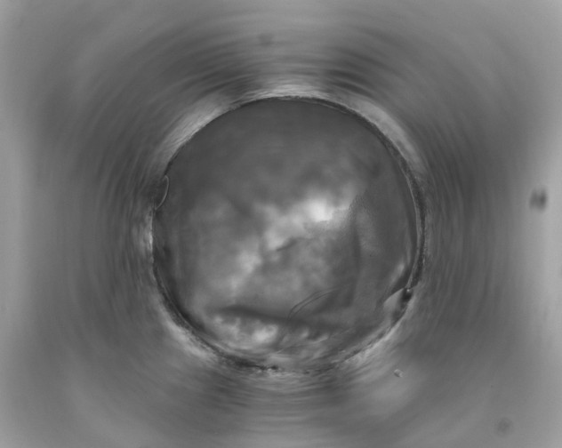 X0000091481241200709061832