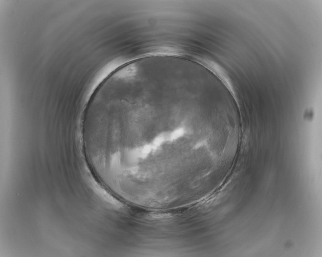 X0000091481243200709061832