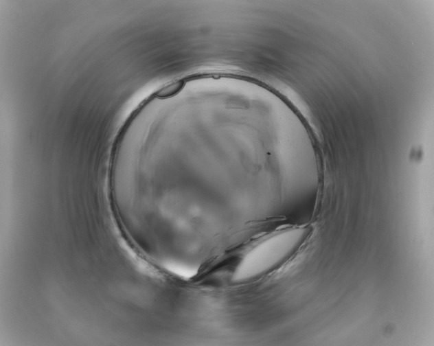 X0000091481245200709061832