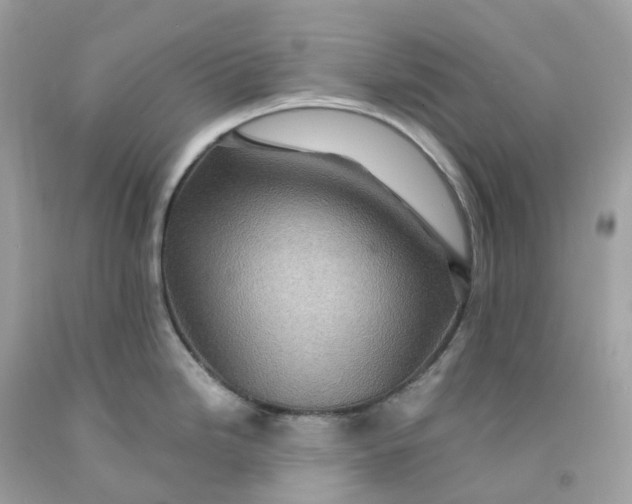 X0000091481246200709061832