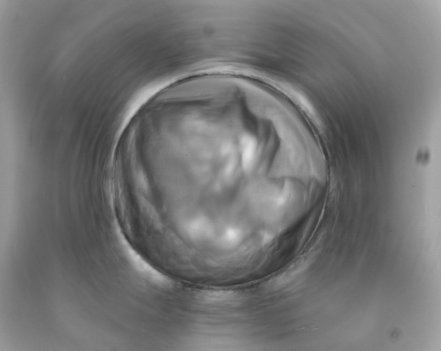 X0000091481247200709061832