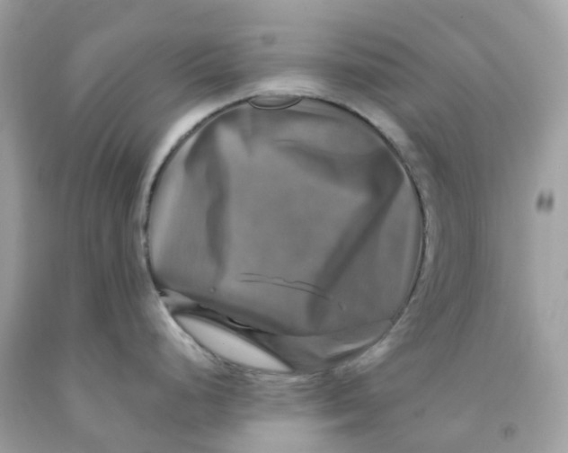 X0000091481248200709061832