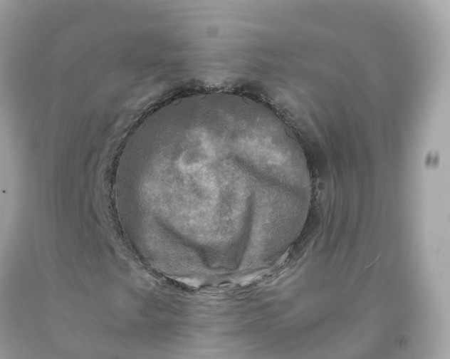 X0000091481249200709061831