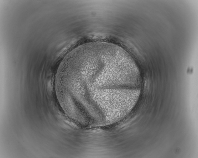 X0000091481250200709061831