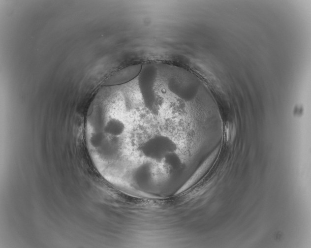 X0000091481251200709061831