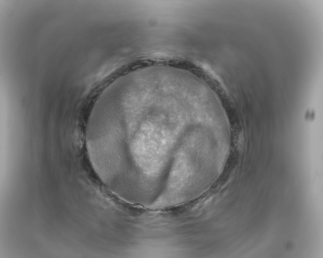 X0000091481253200709061831