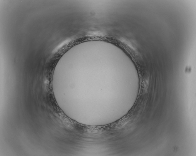 X0000091481254200709061831