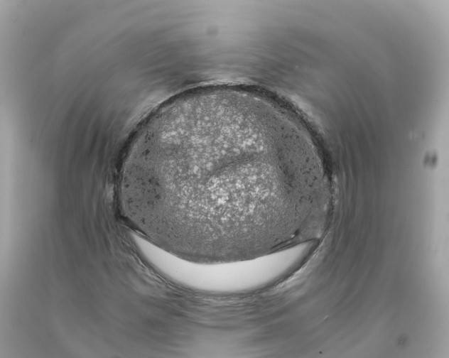 X0000091481257200709061831