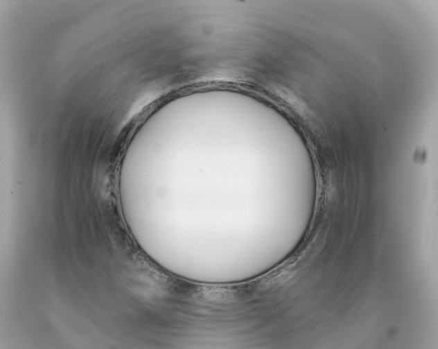 X0000091481258200709061831