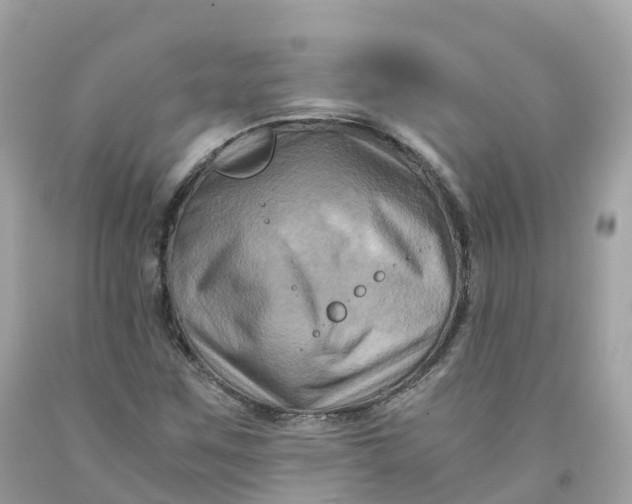 X0000091481259200709061831