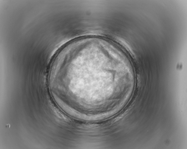 X0000091481260200709061831