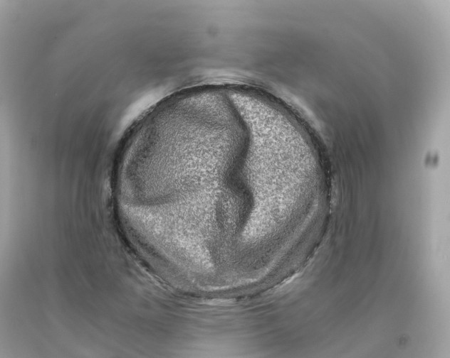 X0000091481261200709061831