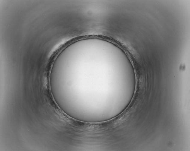 X0000091481262200709061831