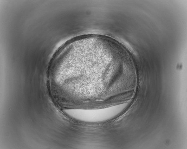 X0000091481264200709061831