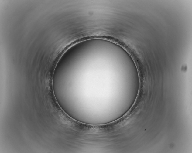 X0000091481265200709061831