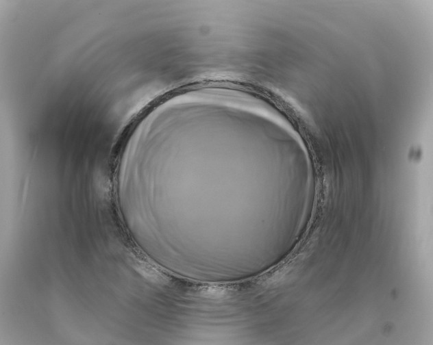 X0000091481266200709061831