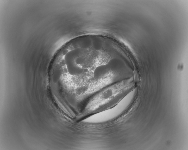 X0000091481267200709061831