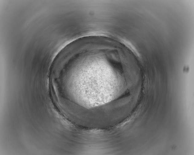 X0000091481268200709061831