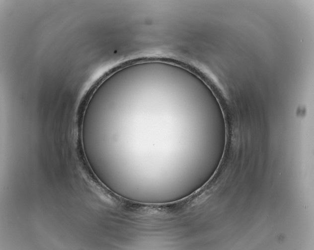 X0000091481270200709061831