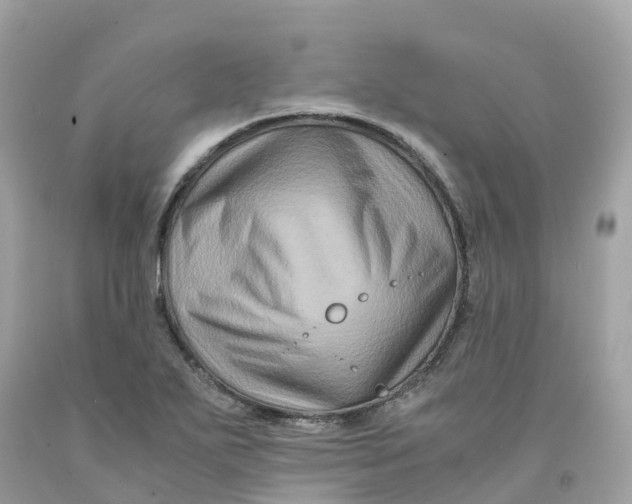 X0000091481271200709061831