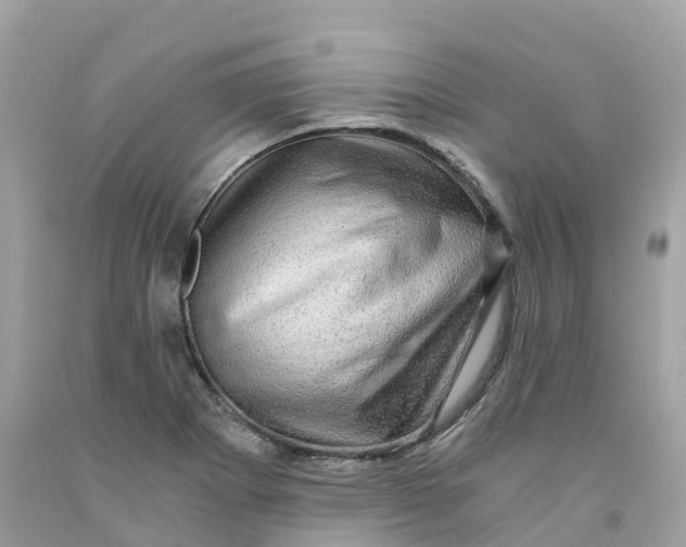 X0000091481273200709061831